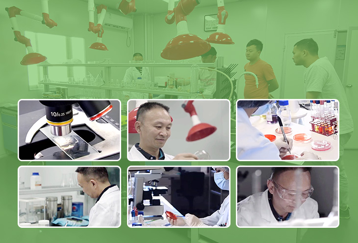 如何選擇質(zhì)量好的防霉片呢？